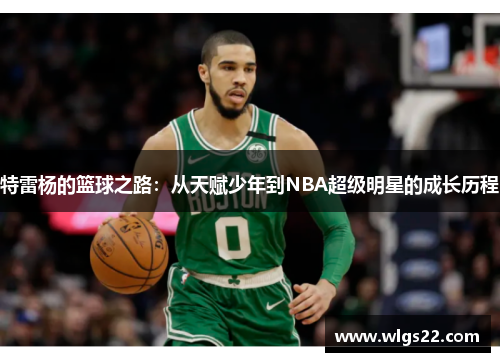 特雷杨的篮球之路：从天赋少年到NBA超级明星的成长历程